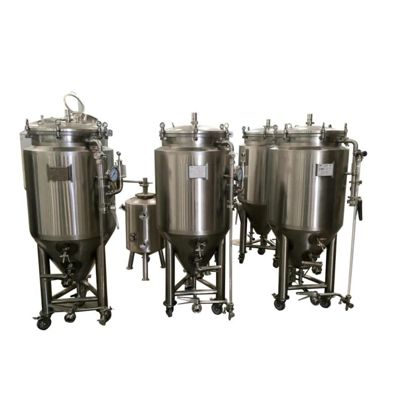 Cassman 50L Home Beer Micro Brewing Small Beer Equipment for Sale