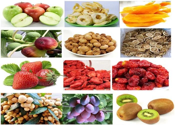 Hot Sale Hot Air Fruit Vegetable Dryer Machine