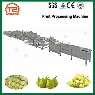 Noni Fruit Vegetable and Fruit Processing Machine
