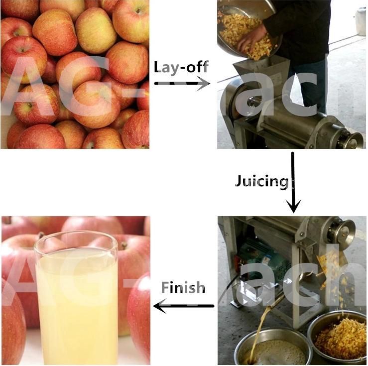 Home Use 0.5t and 1t and 1.5t Spiral Fruit and Vegetable Juice Extractor Machine