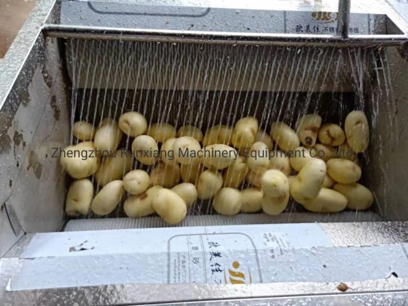 Factory Selling Vegetable Fruit Washing and Peeling Peeler Machine