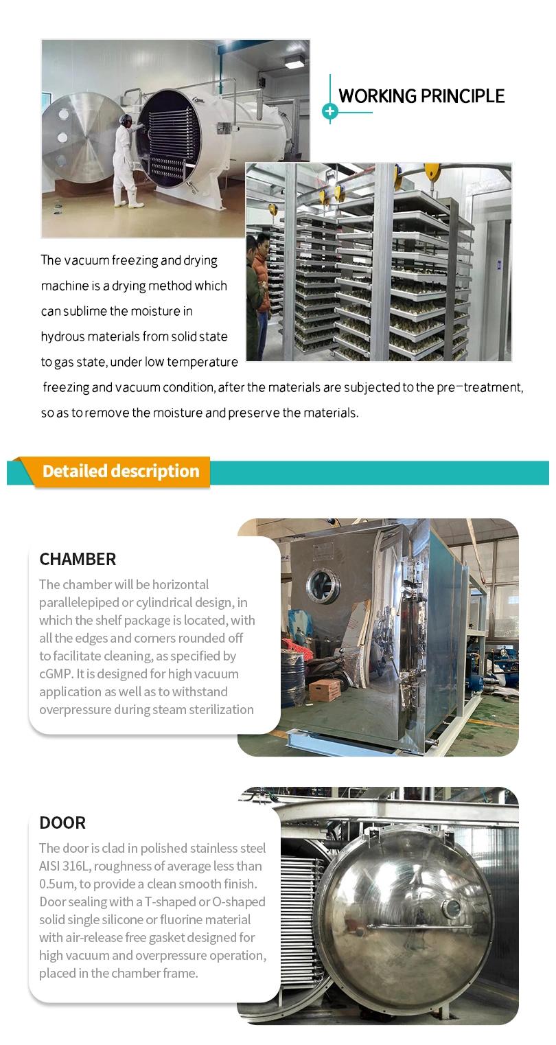 Manufacturer Laboratory Low Temperature Industrial Vertical Vacuum Freeze Dryer