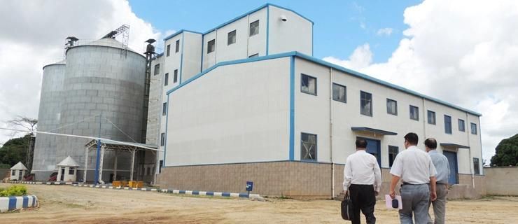 Factory Price Special Design for Africa Maize Milling Machine Corn Grits Plant Corn Meal Mill