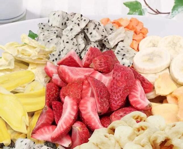 vacuum Freeze Dryer Lyophilization Machine Dried Fruit Lyophilizer Machine