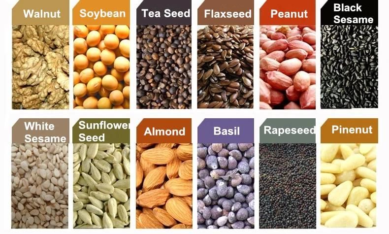 High Quality Combined Peanut Oil Extractor
