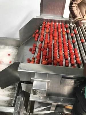 Complete set of tomato processing line