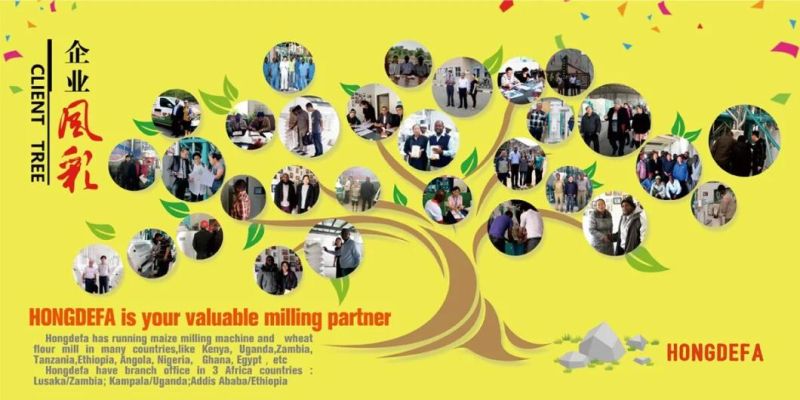 Kenya Zambia 100t/24h Maize Flour Milling Machines