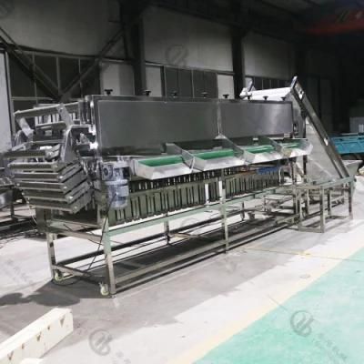 Multifunctional Taro/Potato/Onion Vegetable Washing Waxing Drying Size-Grading Line