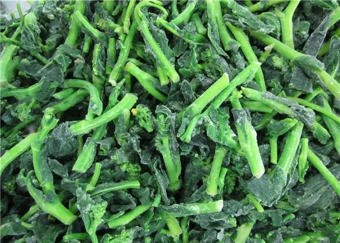 Automatic Frozen Machine Vegetable Fruit Freezing Machine