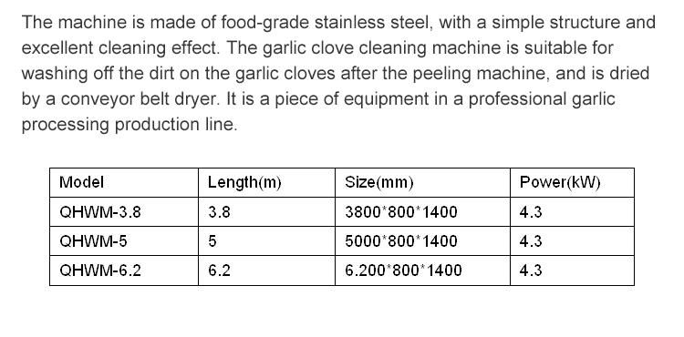 Bubble Cleaning Machine for Fruit and Vegetable Production Line