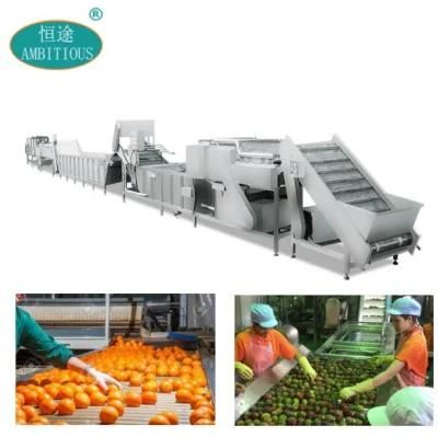 Automatic Vegtable Cleaning Line Fruit Processing Line