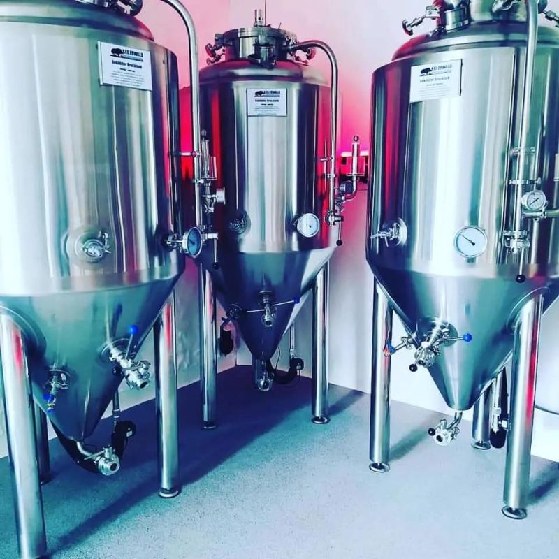 SUS304 Small 200L Beer Brewing Fermenter for Beer Brewery Project