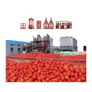 Tomato Paste Double Concentrate Tomato Ketchup Processing Machinery Tomato Processing ...