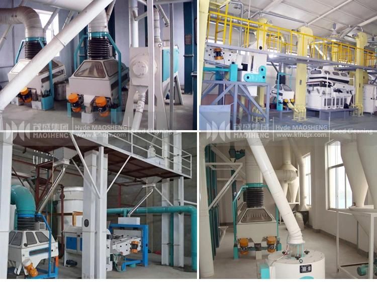 Maize Corn Seed Cleaning Plant Gravity Destoner