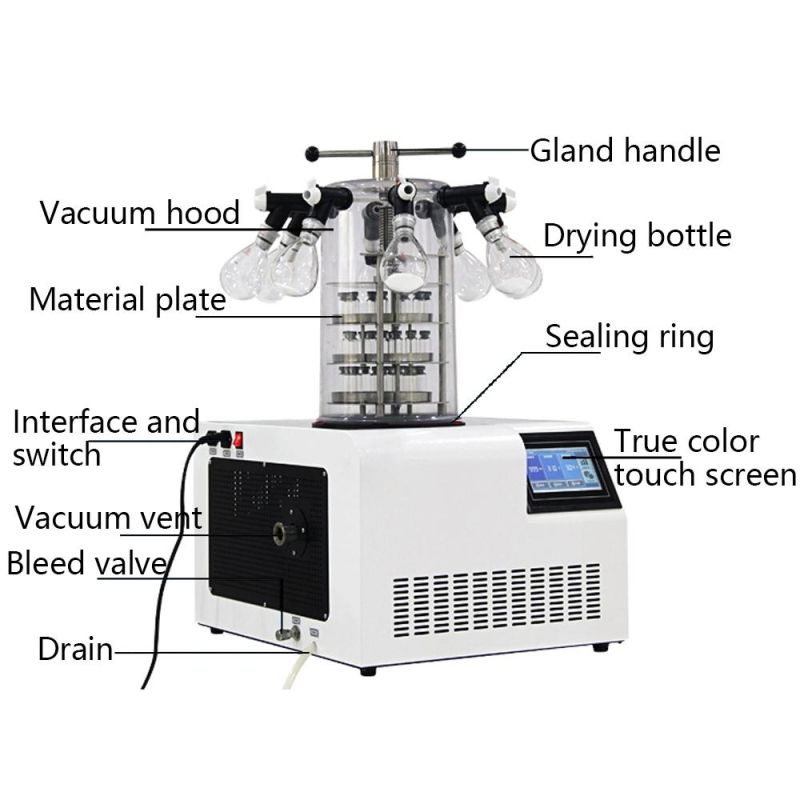 Desktop Pharmaceutical Food Chemical Vacuum Dryer Machine Freeze Dryer