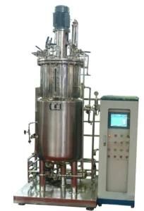 Stainless Steel Biological Bacteria Yeast Fermentor