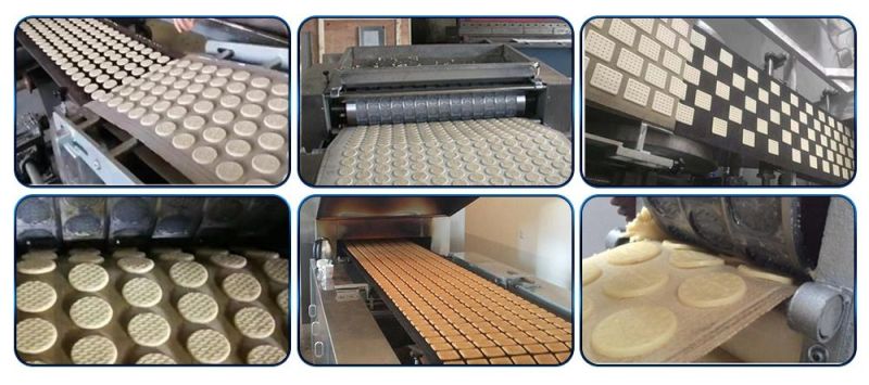 Stainless Steel High Quality Biscuit Cookies Production Line Vegetable Biscuit Making Machine Small Kids Biscuit Machine