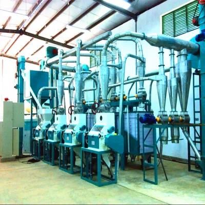 Nigeria Commercial 30t Maize Flour Mill Machinery Complete Processing Line