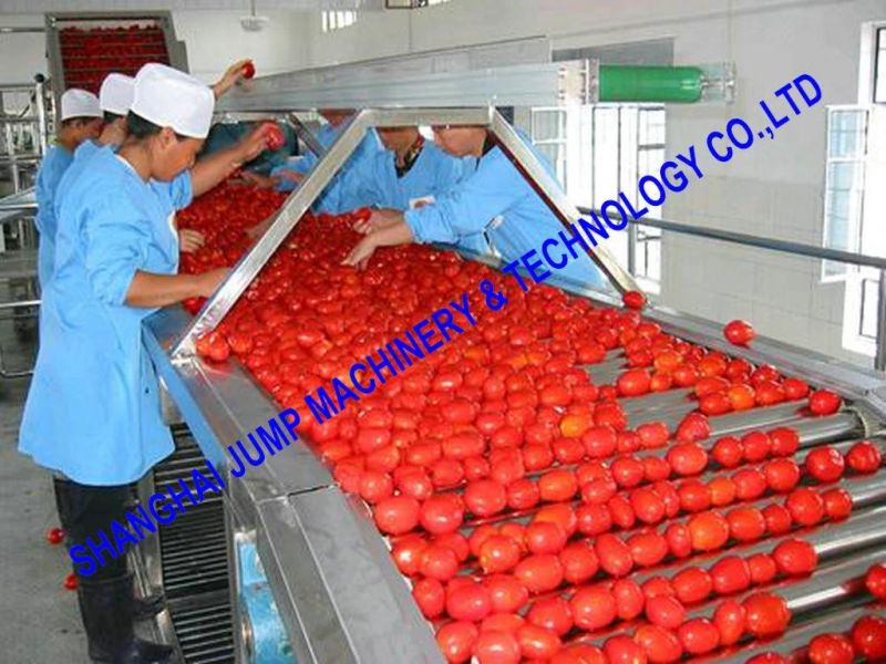 High Speed Tomato Sauce & Ketchup Processing Line/Processing Machine