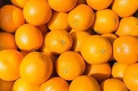 Commercial Citrus Brush Washing Machine Citrus Washer