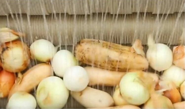 Stainless Steel Apple/Pear/Mango/Fruit/Vegetable Processing Equipment