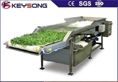 Vegetable Fruit Processing Line Washing Machinery