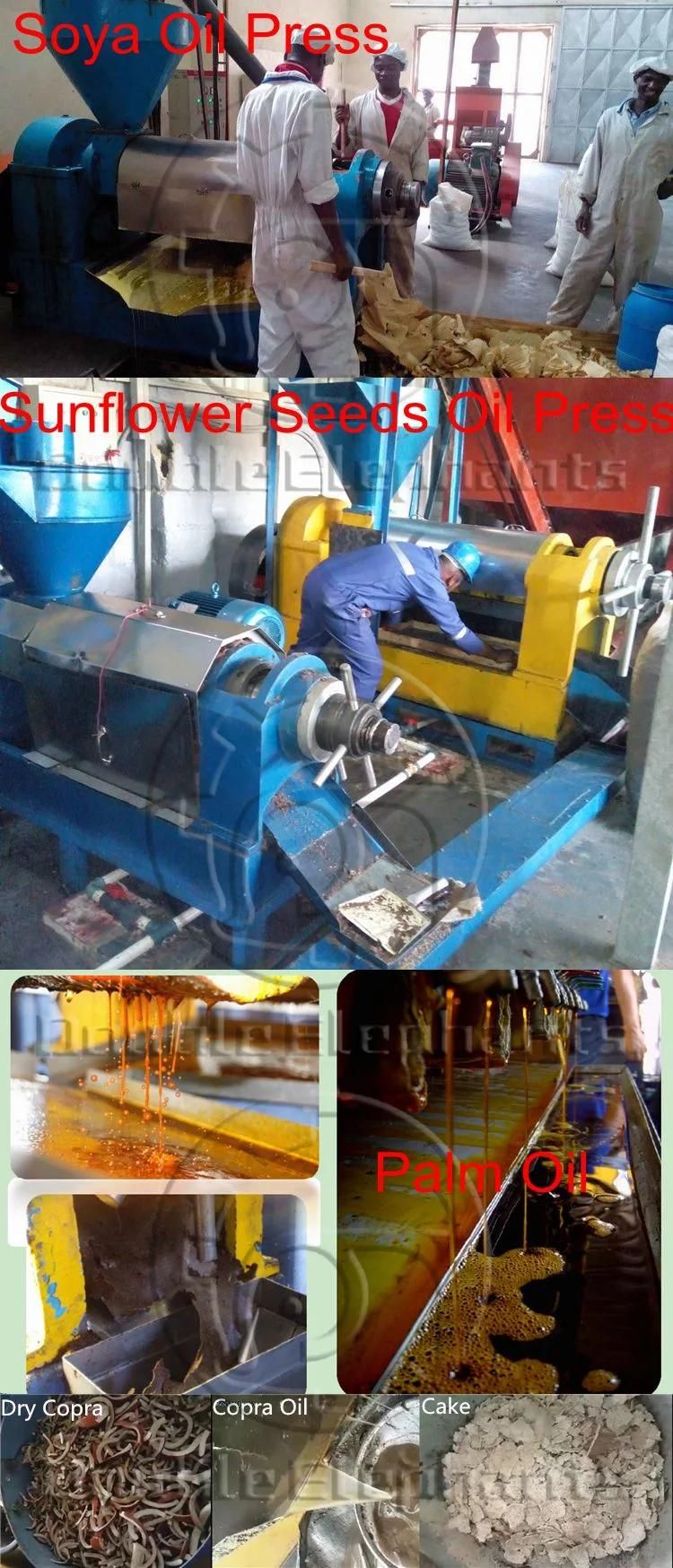 50-1000kg/H Coconut Oil Press Machine, Sunflower Oil Extraction Machine, Mustard Oil Expeller, Screw Oil Press, Peanut Oil Press, Soybean Oil Press