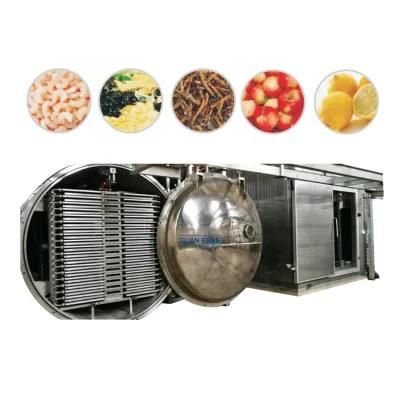 Large Capacity Food Lyophilizer Dry Freezer Machine for Sale