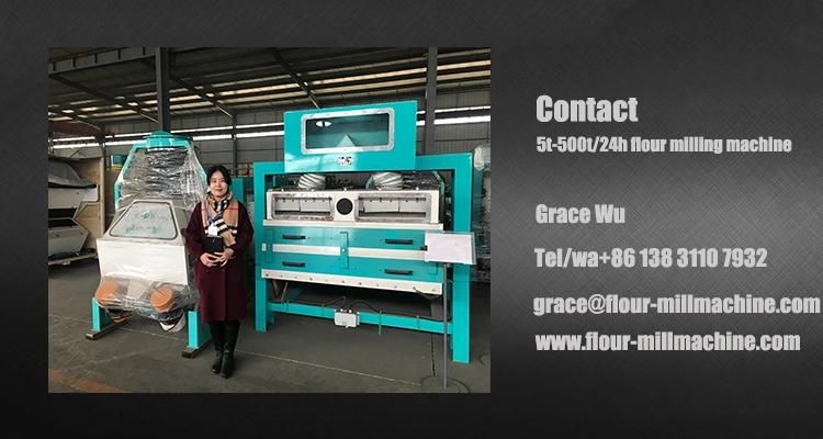 Flake Roller Mill for South America Precooked Corn Flour