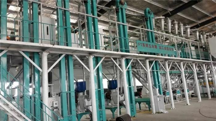 50 T/D Maize Corn Flour Milling Machine Plant for Africa Market