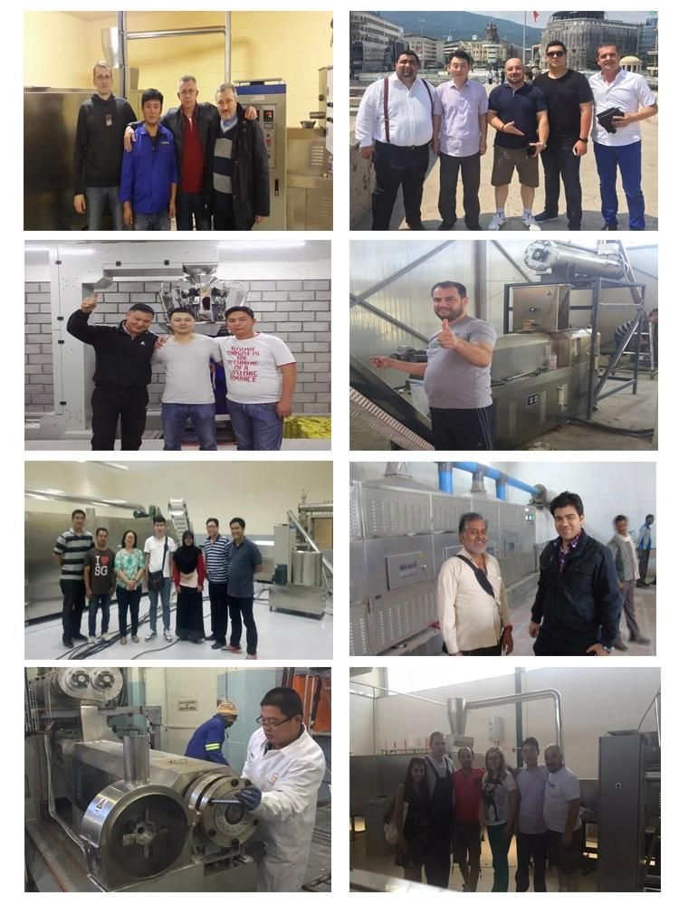 Hot Popular Soya Chunks Manufacturing Machine Maker Texture Soya Protein Processing Line