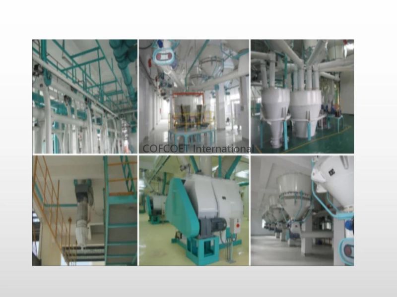 Global 500 Cofcoet Wheat Maize Rice Flour Complete Production Line