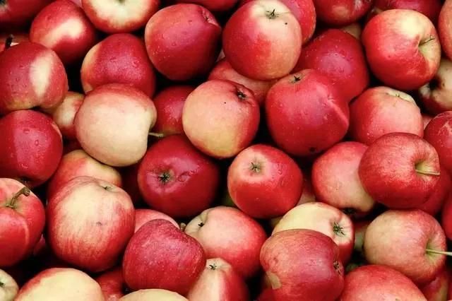 Vegetable Fruits Washer Dryer Apple Washing Drying Machine