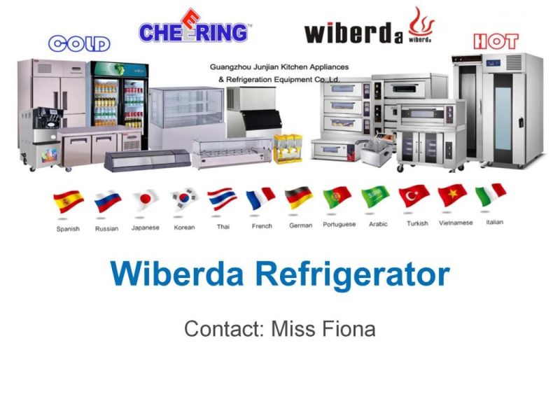 Glass Door Commercial 16pan/32pan Fermentation Tank Proover Freezer -18 Degree Centigrade