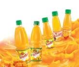Mango Juice Processing Line