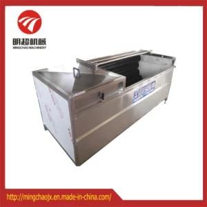 Brush Type Ginger Potato Carrot Washing and Peeling Machine