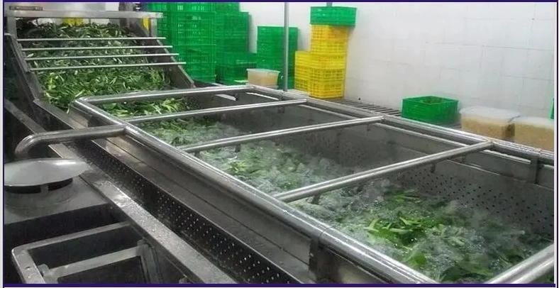 Food Processing Machinery Fruit Sorting Grading Washing Equipment