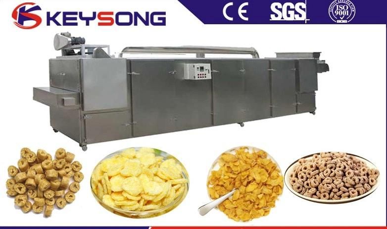 Jinan Keysong Good Quality New Designed Snack Dryer