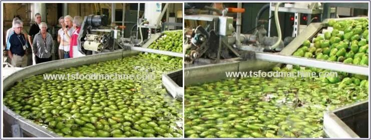 Commerical Fruit Pear Washing Machine, Fruit Washing Line