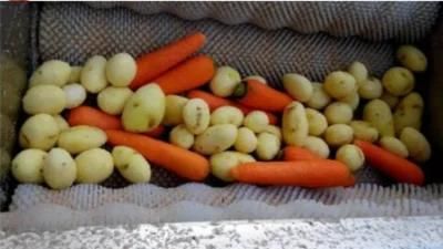 High Effective Vegetable Grading Cleaning Tool for Kitchen