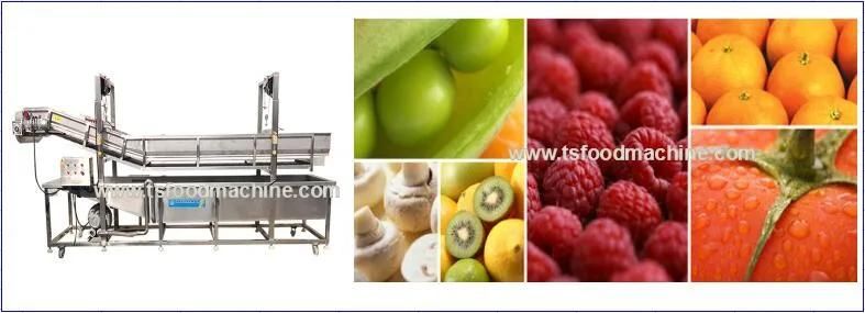 Continous Fruit and Vegetable Cleaning Machine with Pressure Washer in High Efficiency