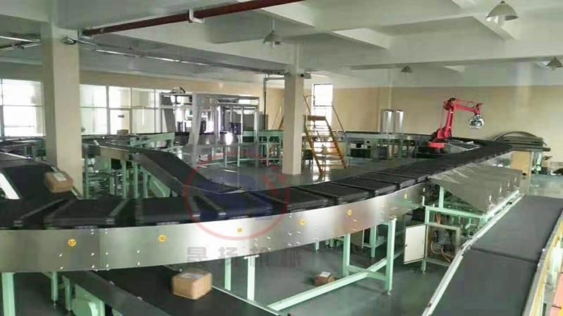 2020 Stainless Steel Flat Belt Conveyor for Bag/Pallet/Tray Loading