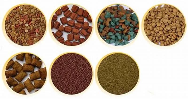China Factory Supply Good Quality Pet Food Fish Feed Machine