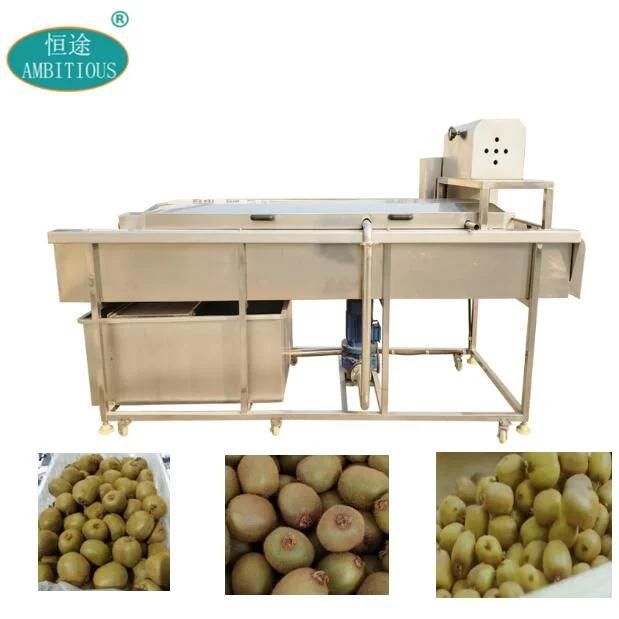 Kiwi Fruit Cleaning Machine Kiwi Processing Line