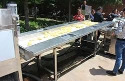 Full Automatic Industrial Potato Chips Making French Fries Machine