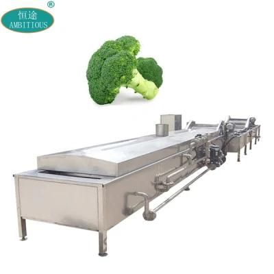 Conveyor Belt Blancher Electric Plantain Blanching and Cooking Equipment