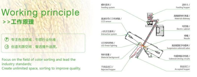 5 Chutes 320 Channels Thailand Rice Color Sorter Machine From Wenyao China