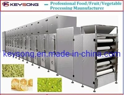 Conveyor Mesh Belt Dryer, Food Fruit Vegetable Drying Machine