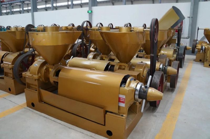 South America Oil Machinery Soybean Oil Press Sunflower Oil Processing 10tons New Machine