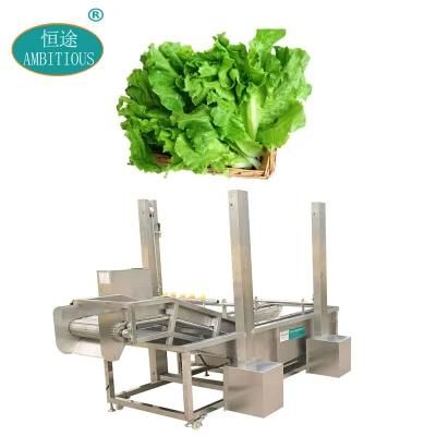 Restaurant Vegetable Washing Cleaning Machine Air Bubble Lettuce Washer